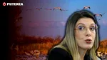 Cum vrea Diana Buzoianu să ofere privilegii „băieților deștepți” din Delta Dunării, pe banii Comisiei Europene