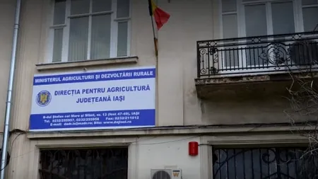 Salariații de la DAJ Iași, supărați că sunt supravegheați video și audio non-stop