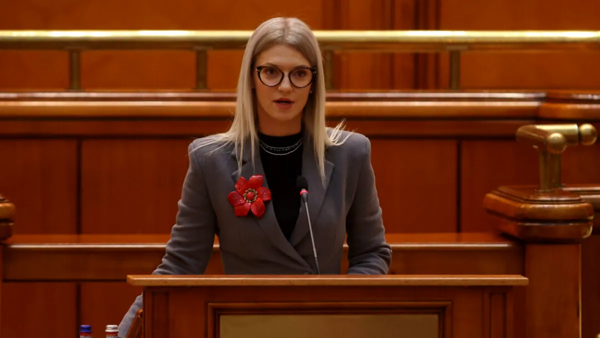 Parlamentul a constituit Comisia „România fără violență”. Alina Gorghiu: „În România nu mai băgăm violența sub preș”