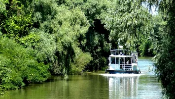 Experiment educațional ratat în Delta Dunării: școala din Caraorman, desființată de Legea Bolojan, va fi reînființată după un eșec al „învățământului hibrid”