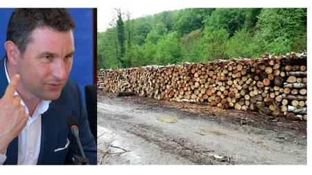 Cum a aruncat Barna Tanczos în aer prețul lemnului de la Romsilva într-un an de zile