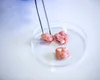 Crești carne acasă fără animale: gadgetul care transformă bucătăria în laborator