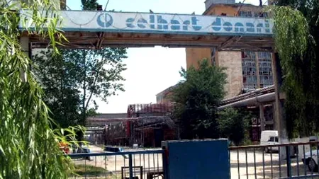 Ce a rămas din ultimul combinat vizitat de Ceaușescu. Autoritățile locale au planuri mari