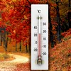 Prognoza meteo 25 octombrie: ceață, burniță și ploi slabe. Unde urcă temperaturile la 20 de grade