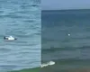 Alertă pe litoral: o dronă a fost scoasă din apă lângă o plajă din Mamaia