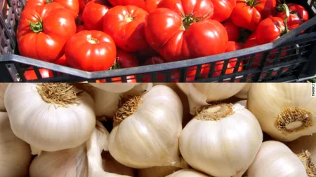 Ajutor de stat pentru cultivatorii de tomate sau usturoi Cine beneficiază și de cât?