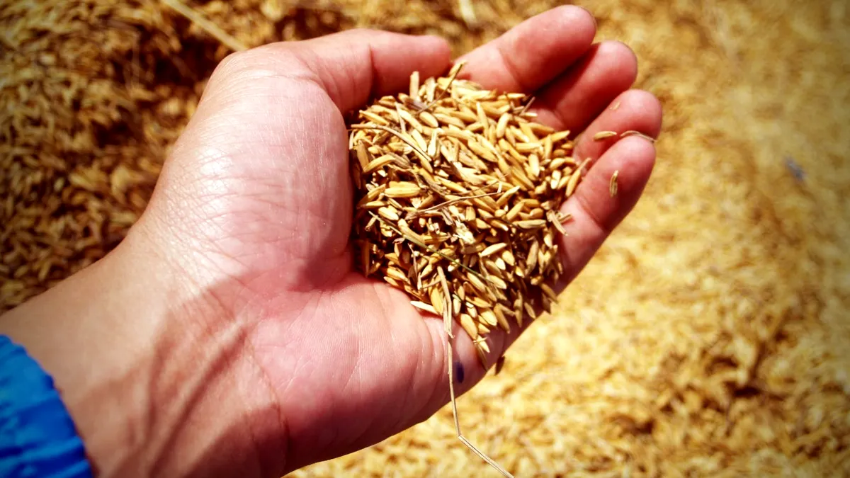 Comisia Europeană și cinci țări UE continuă duminică negocierile privind importurile agricole din Ucraina