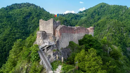 Urșii au luat în stăpânire un obiectiv turistic. Cetatea la care, momentan, s-au suspendat vizitele