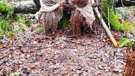 Cum au apărut „creaturile mistice” într-un parc din Canada