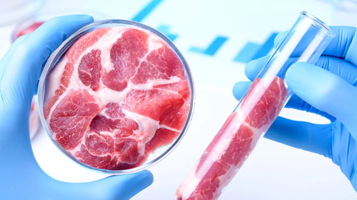 Carne artificială cu gust de pui, făcută în laborator. UE pregătește lansarea pe piață