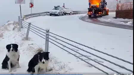 Drumuri blocate din cauza zăpezii, în Botoșani