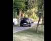 Bizonul cu Mercedes a confundat parcul cu șoseaua: amendă și rușine pe internet