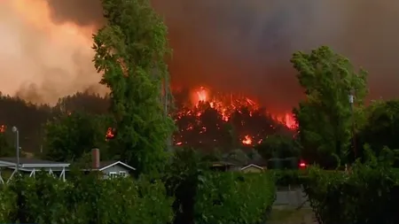 Incendii devastatoare în SUA: 4 victime, zeci de mii de oameni evacuați, podgorii pârjolite