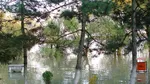 Cod galben de viituri în 11 bazine hidrografice și pe râurile din Dobrogea, în weekend