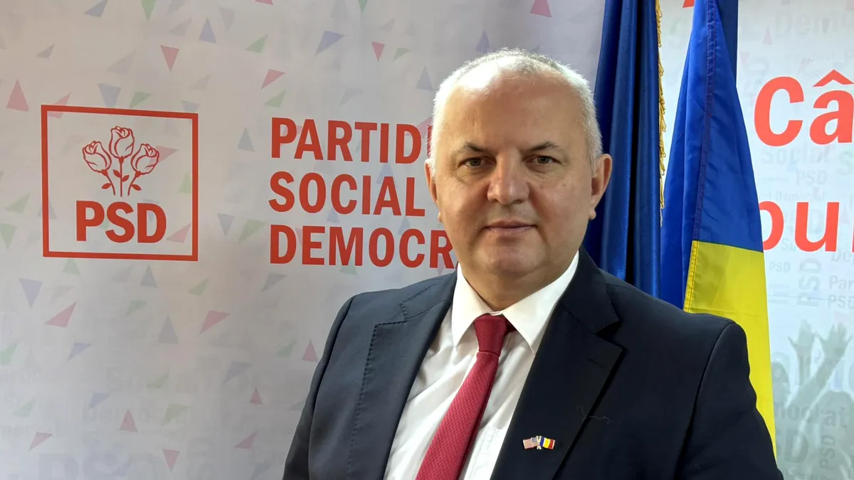 Anularea alegerilor, un precedent periculos – avertismentul lui Avram Gal