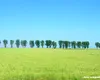 Încercare provocatoare de dezvoltare a turismului în satele din Bărăgan