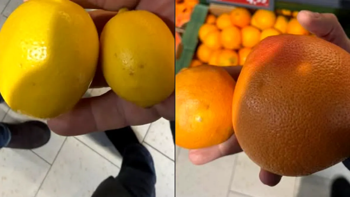 Citrice „premium” doar pe etichetă? ”Suntem bătaia de joc a importatorilor