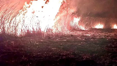 Incendiu de vegetație în Mehedinți: Mai multe gospodării au fost cuprinse de flăcări