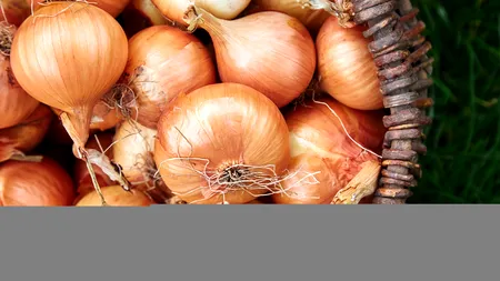 Ceapa, remediu natural contra tusei!?