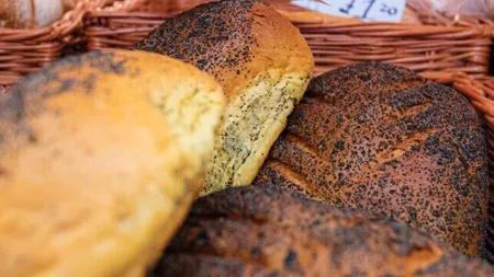 Medicul nutriţionist Mihaela Bilic: Pâinea îngraşă la fel, doar gustul diferă