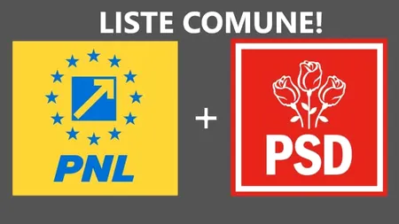 Câți europarlamentari vrea alianța PSD-PNL la alegerile din 9 iunie 2024