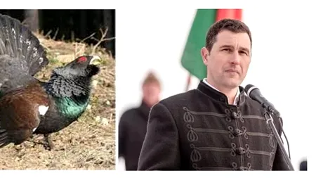 Barna Tanczos vrea să omoare 239 de cocoși de munte