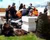 Festivalul de la Cannes: un palmier a căzut peste unul dintre invitați