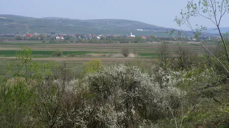 Intabulări greșite, iar oamenii nu mai vor să dea proprietățile înapoi