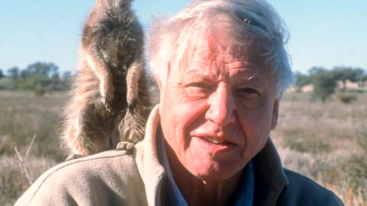 Sir David Attenborough: Omenirea ar putea fi “pe punctul de a destabiliza întreaga planetă”