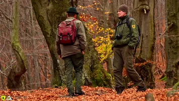 Statul român, mai bogat cu 4.000 de hectare de pădure