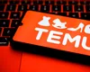 Temu, amendă uriașă de la UE pentru jucării toxice și încărcătoare defecte