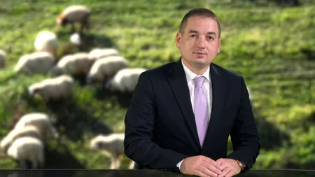 ANSVSA: Fermierii din zonele afectate de pesta micilor rumegătoare pot solicita autorizarea temporară a punctelor de sacrificare
