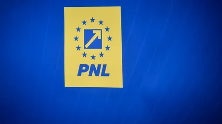 Doi membrii PNL s-au alăturat USR și au sesizat la CCR legea prin care premierul și-a asumat răspunderea în Parlament