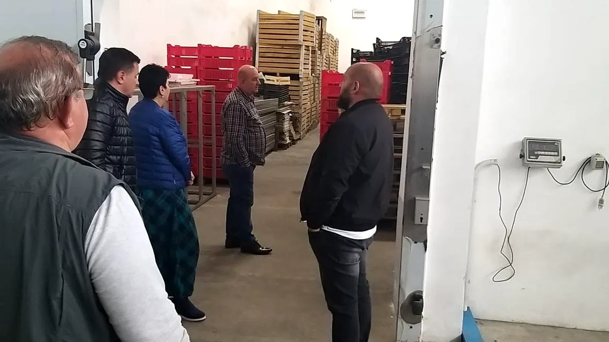 Casa de Comerț Unirea caută producători de fructe și legume, dar și depozite