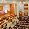Parlamentul ia măsuri dure. Urșii agresivi și șacalii pot fi opriți imediat