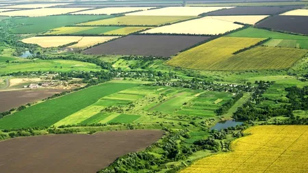 Pământul arabil înseamnă avere! Top zece tranzacții cu terenuri agricole din România