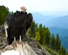 Artefacte de peste 600 de ani descoperite în cuiburi de vulturi