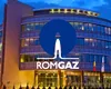 Cine este directorul pensionar de la Romgaz remunerat lunar cu 14.000 de euro