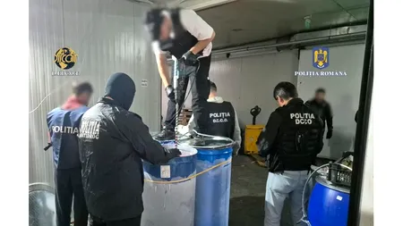 Captură record de cocaină tranzitată prin Portul Constanța. Unde erau ascunse drogurile (Video)