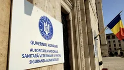 A început lupta directă pentru șefia ANSVSA: Rămâne Bociu sau vine Oleleu?