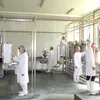 Brevet de invenție pentru tehnologia de producere a foliei comestibile, din proteină din carne, pentru produsele alimentare