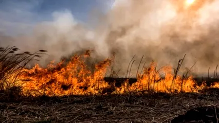 11 incendii în Delta Dunării în două zile. Peste 900 de hectare de vegetație au fost mistuite de flăcări
