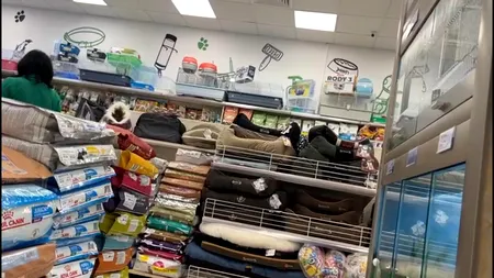 Fetiță rănită într-un petshop din Craiova. Cu ce s-a trezit în cap