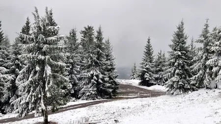 Imagini de poveste de prin țară. Ninge în Munții Parâng și în Poiana Brașov, s-a depus strat de zăpadă. Pe Transalpina s-a intervenit cu utilaje de deszăpezire