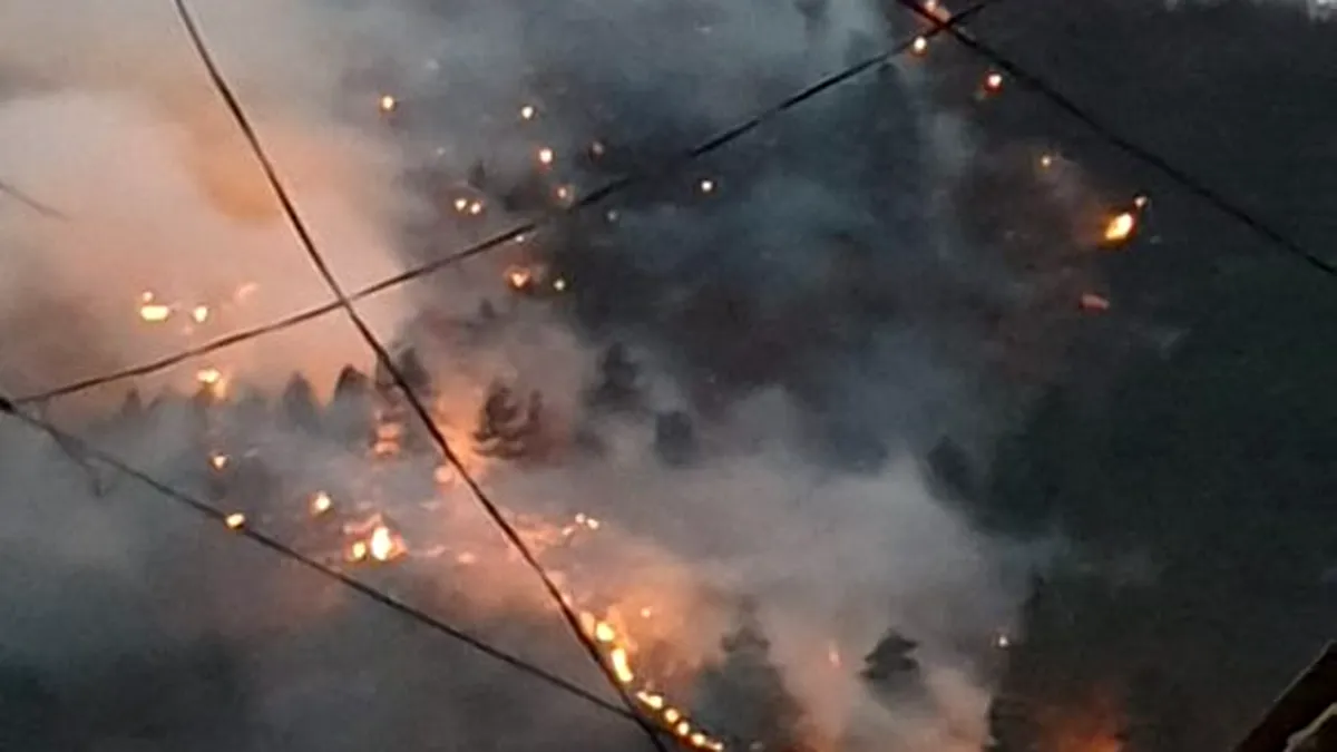 Bistriţa-Năsăud: A reizbucnit incendiul de pădure de la Colibiţa