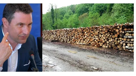 EXCLUSIV. Barna Tanczos a pus pe butuci industria lemnului și va trimite în șomaj 50.000 de oameni