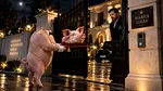 Capul de porc de la poarta lui Marius Lulea. Cine e porcul, de fapt?
