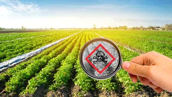 Setoși de câștig, au ajuns la pușcărie. Legumicultori pedepsiți pentru utilizarea unor produse toxice