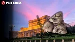Molii sau fluturi? Ce sunt, de fapt, insectele care au cotropit blocurile din București