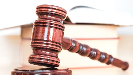 Peste 120 de companii din sectorul agricol au ajuns în instanţă în 2024, cu dosare de insolvenţă. Numărul lor va creşte în 2025